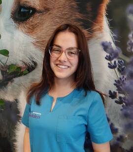 PARAVETERINAIR